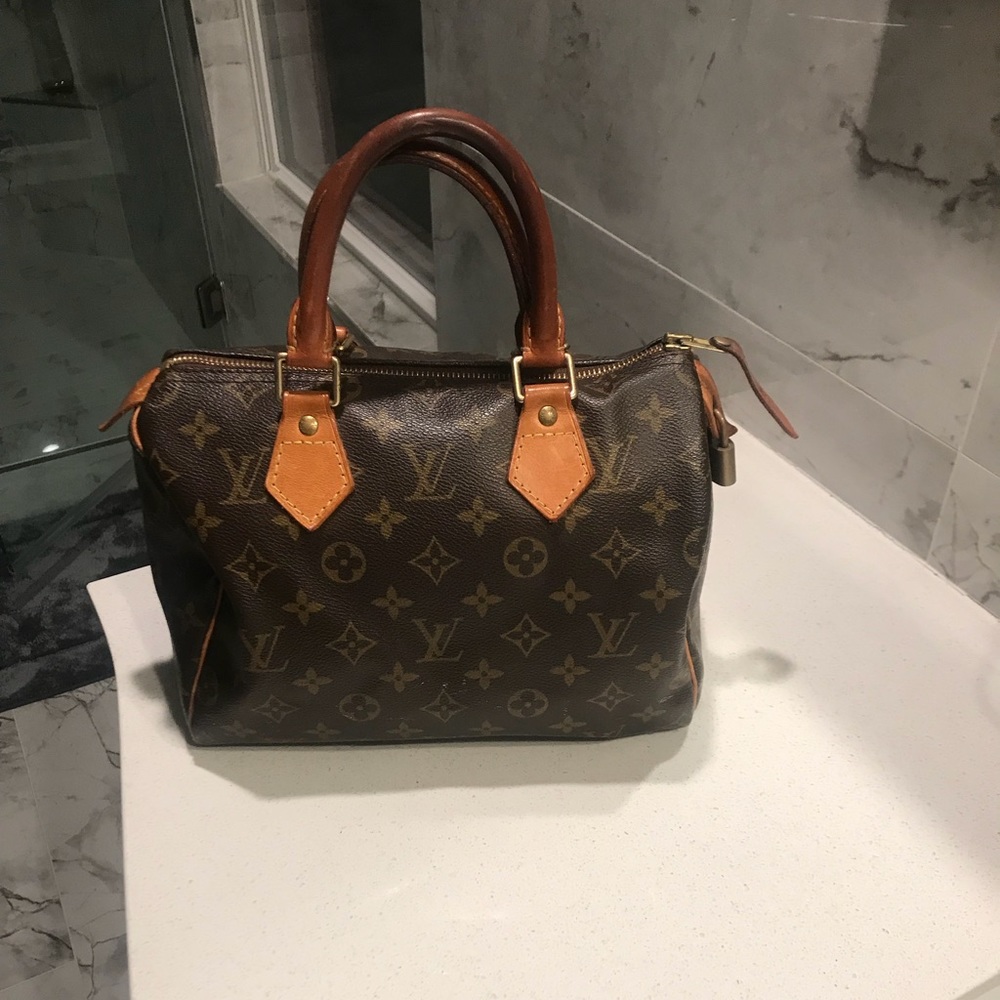 Louis Vuitton Speedy 25 Bag